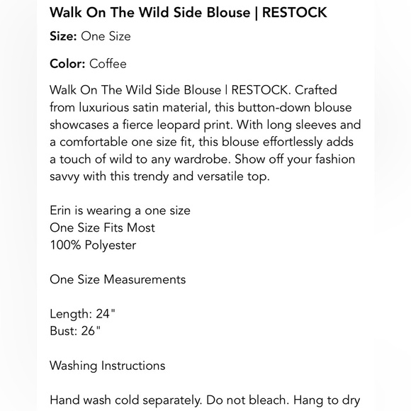 Walk on the Wild Side Blouse, Leopard 🐆 One Size - Picture 8 of 8